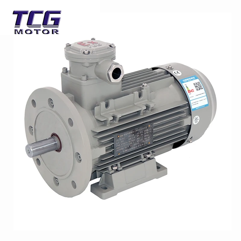 Ex d IIC T4 방폭 모터 B35 피트