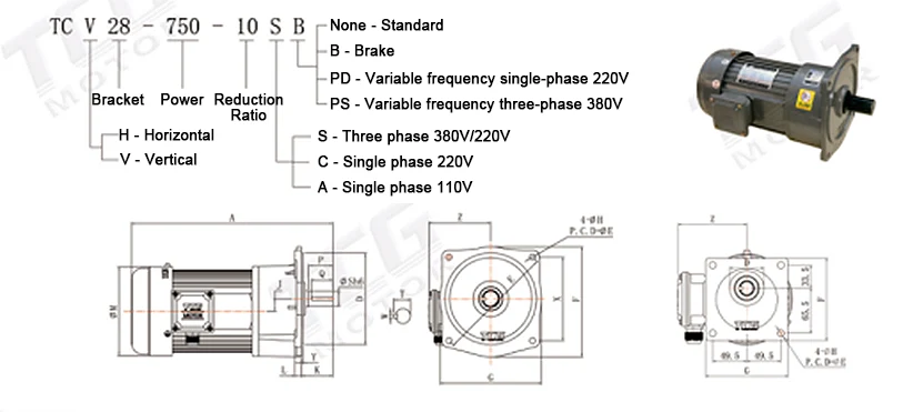 TCV Vertical Gear AC Motor